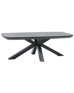 Table de jardin Aster anthracite 220x100 cm