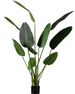 Plante artificielle Strelitzia 164 cm