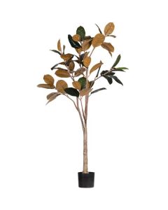 Plante artificielle Nashville - Vert caoutchouc 170cm
